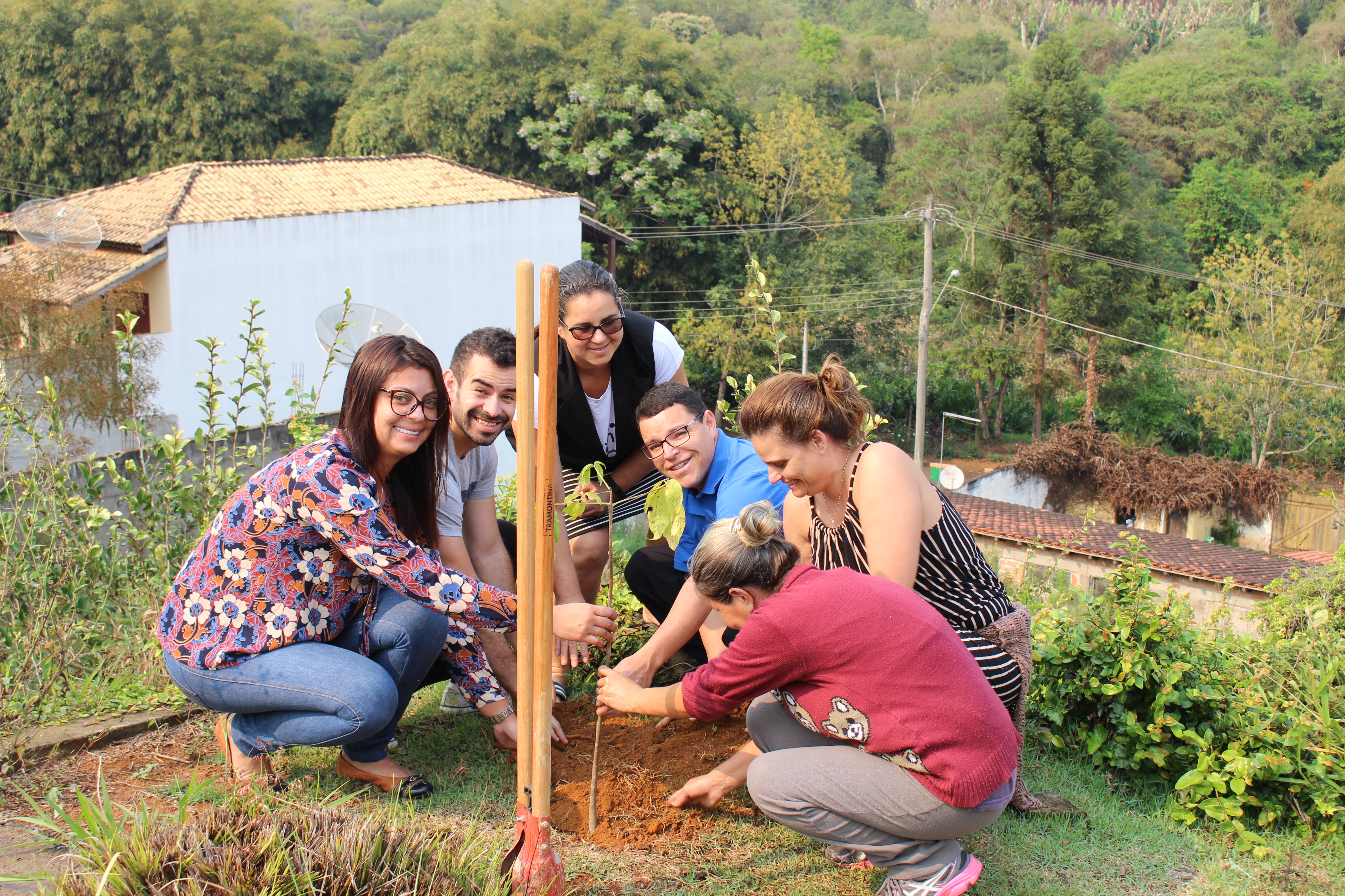 Funcionários da Câmara plantam ipê pela “Hora Verde”